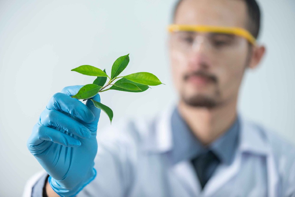 廢物變廢為寶：從高分子酯化木質(zhì)素到下一代碳纖維，有何不同？